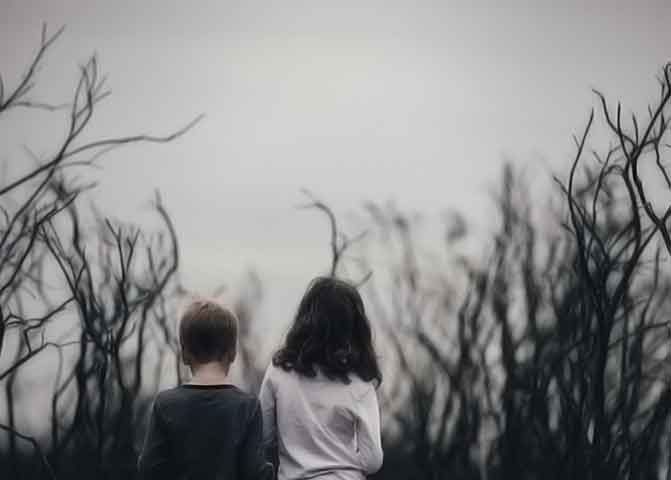 会员充值网站的器测压文章